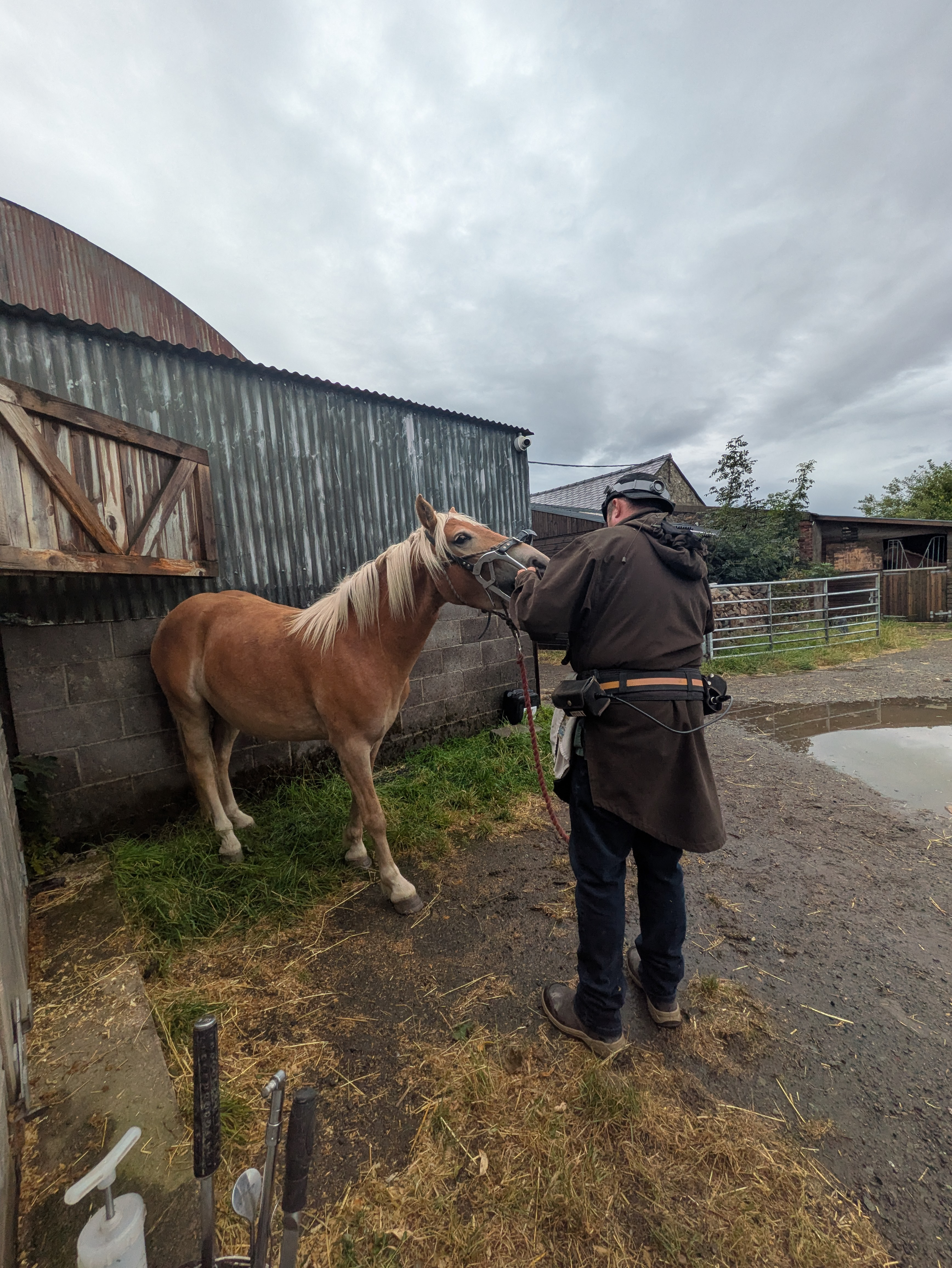 Stable visit